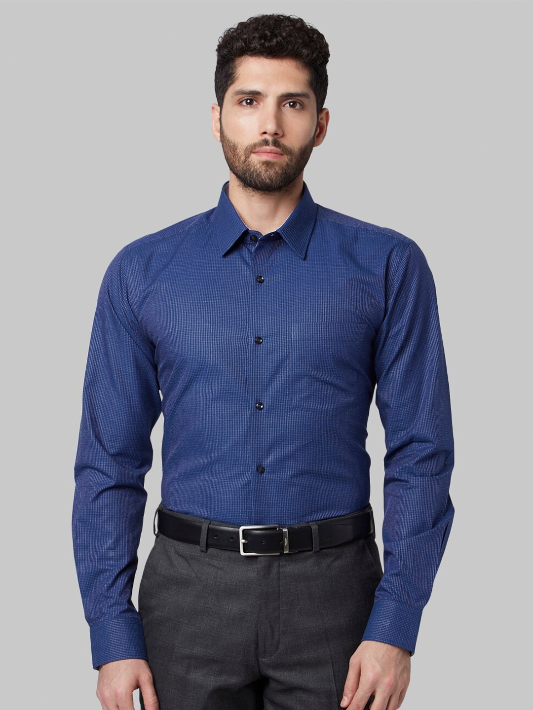 

Park Avenue Men Blue Slim Fit Micro Checked Cotton Formal Shirt