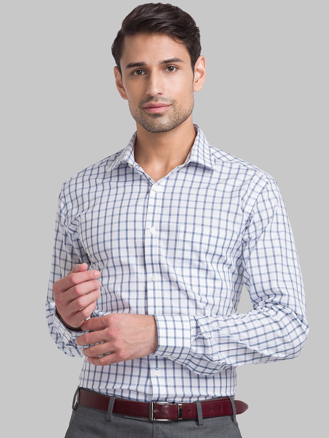

Park Avenue Men Blue Slim Fit Windowpane Checks Checked Formal Shirt