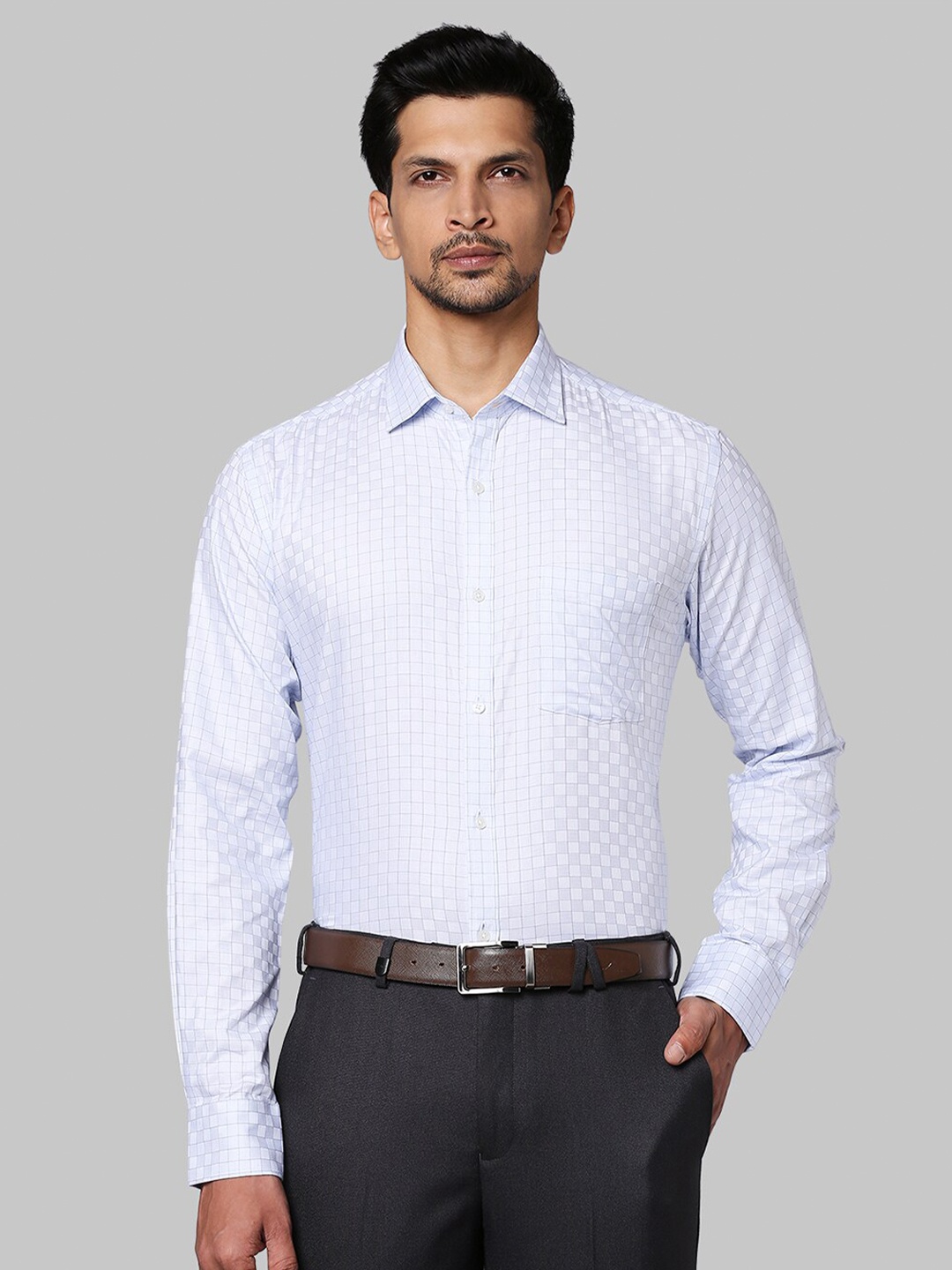 

Park Avenue Men Blue Slim Fit Grid Tattersall Checked Casual Shirt