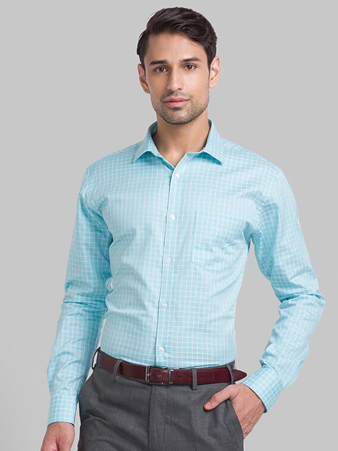 

Park Avenue Men Blue Slim Fit Micro Checks Checked Formal Shirt