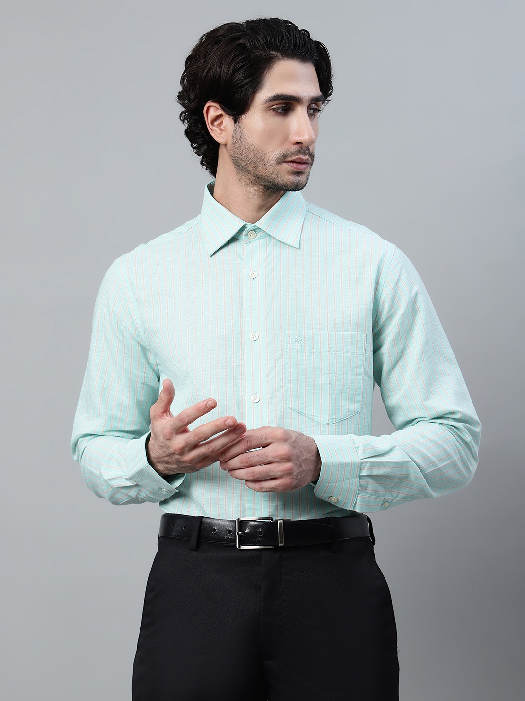 

Cantabil Men Green Striped Formal Shirt