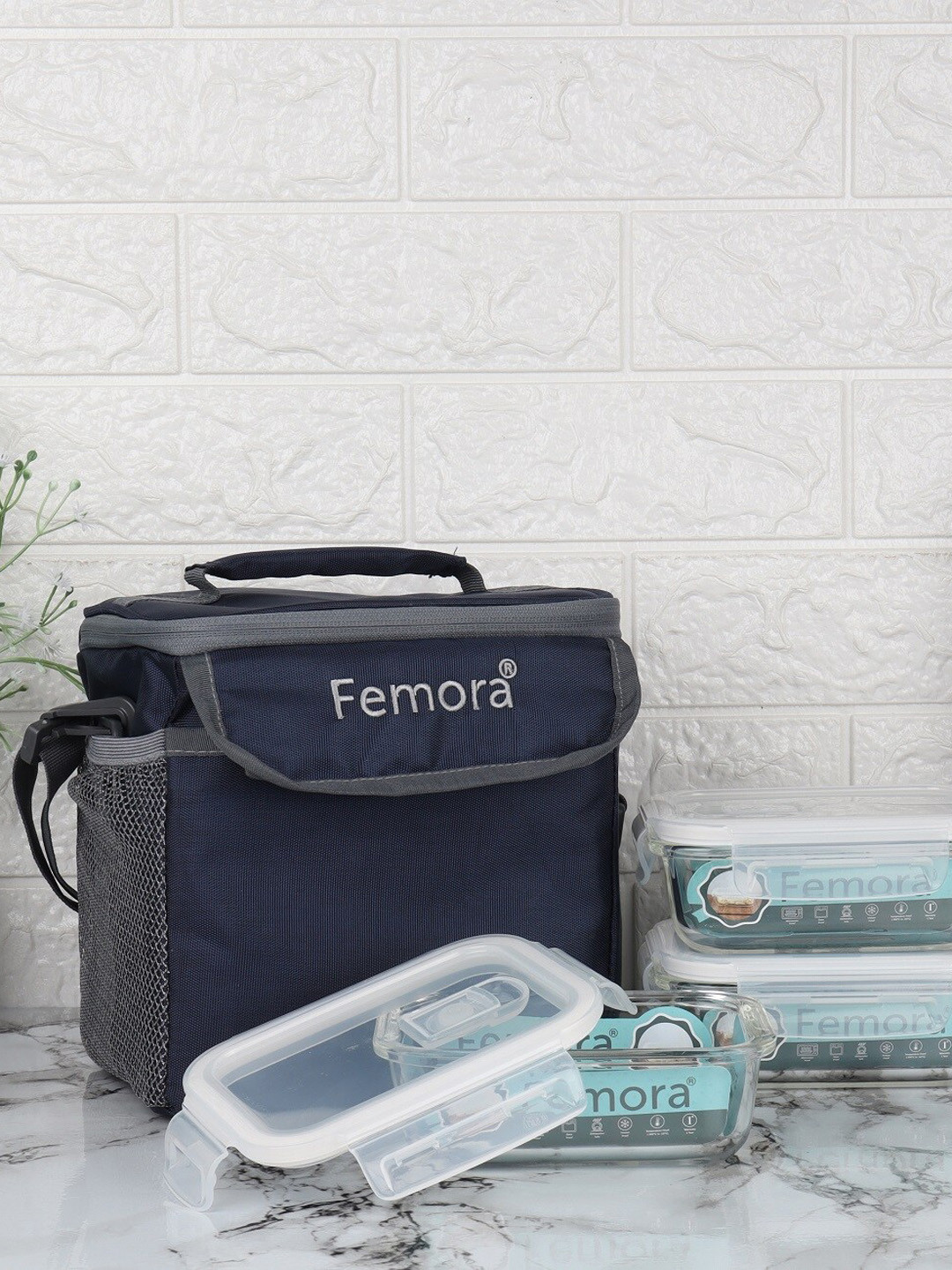 

Femora Transparent Set of 3 Microwave Safe Container Lunch Box, Blue