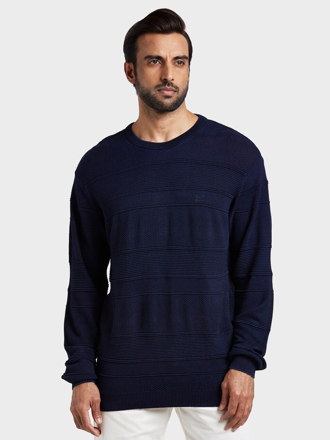 

ColorPlus Men Blue Pullover