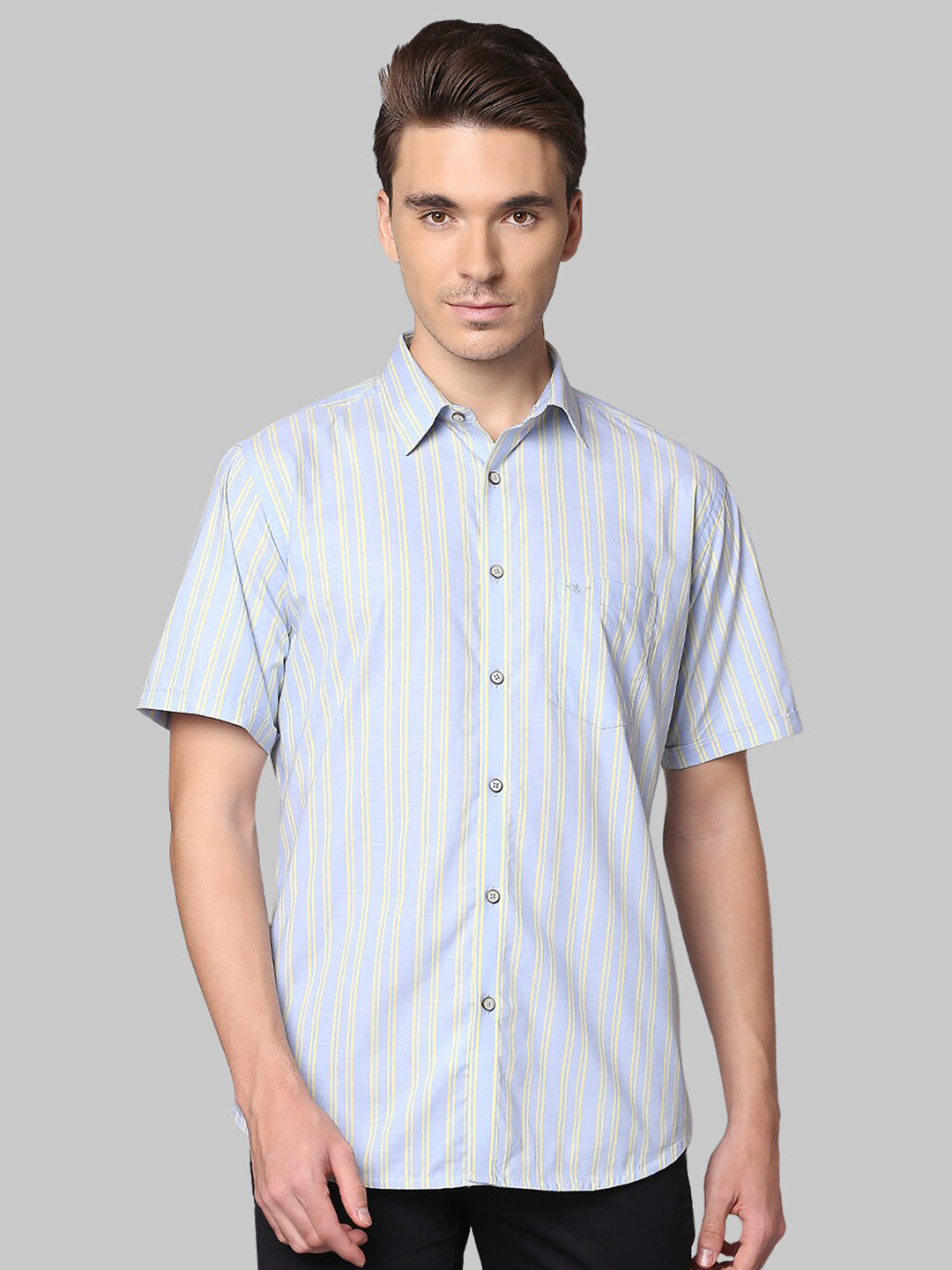 

Park Avenue Men Blue Slim Fit Striped Cotton Casual Shirt