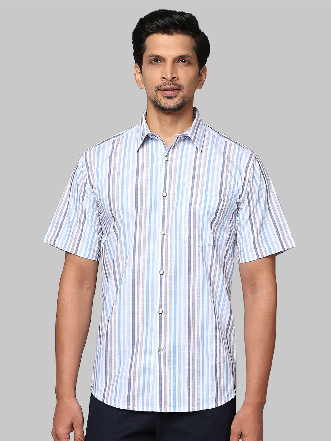 

Park Avenue Men Blue Slim Fit Striped Casual Shirt