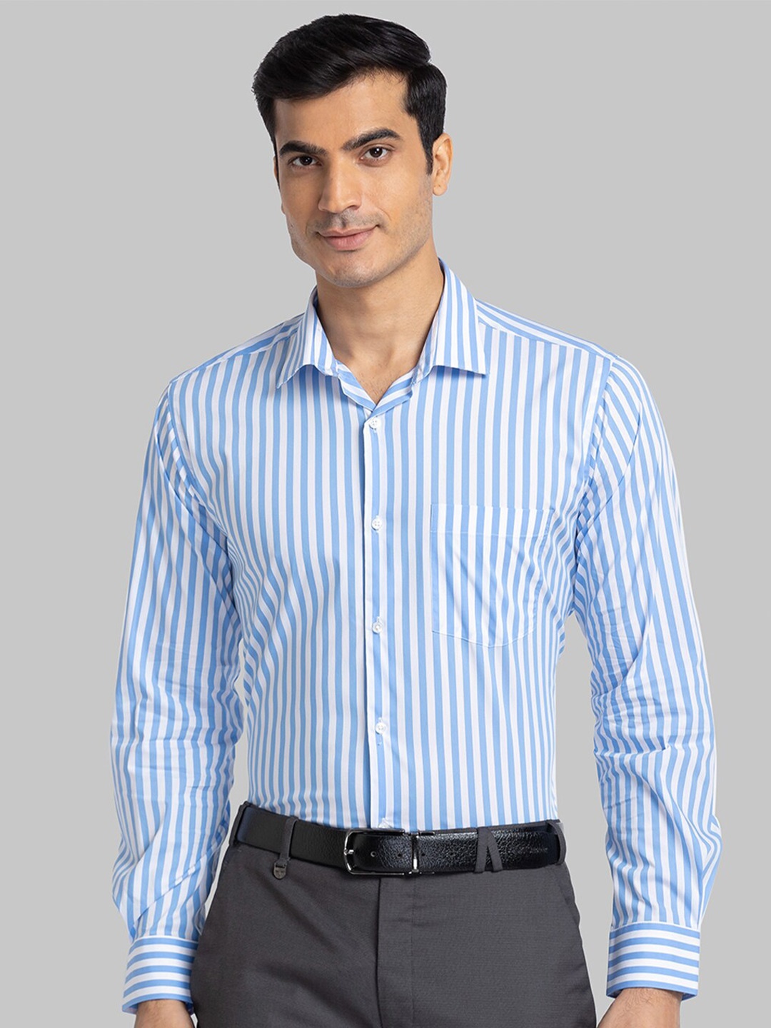 

Park Avenue Men Blue Slim Fit Striped Formal Shirt