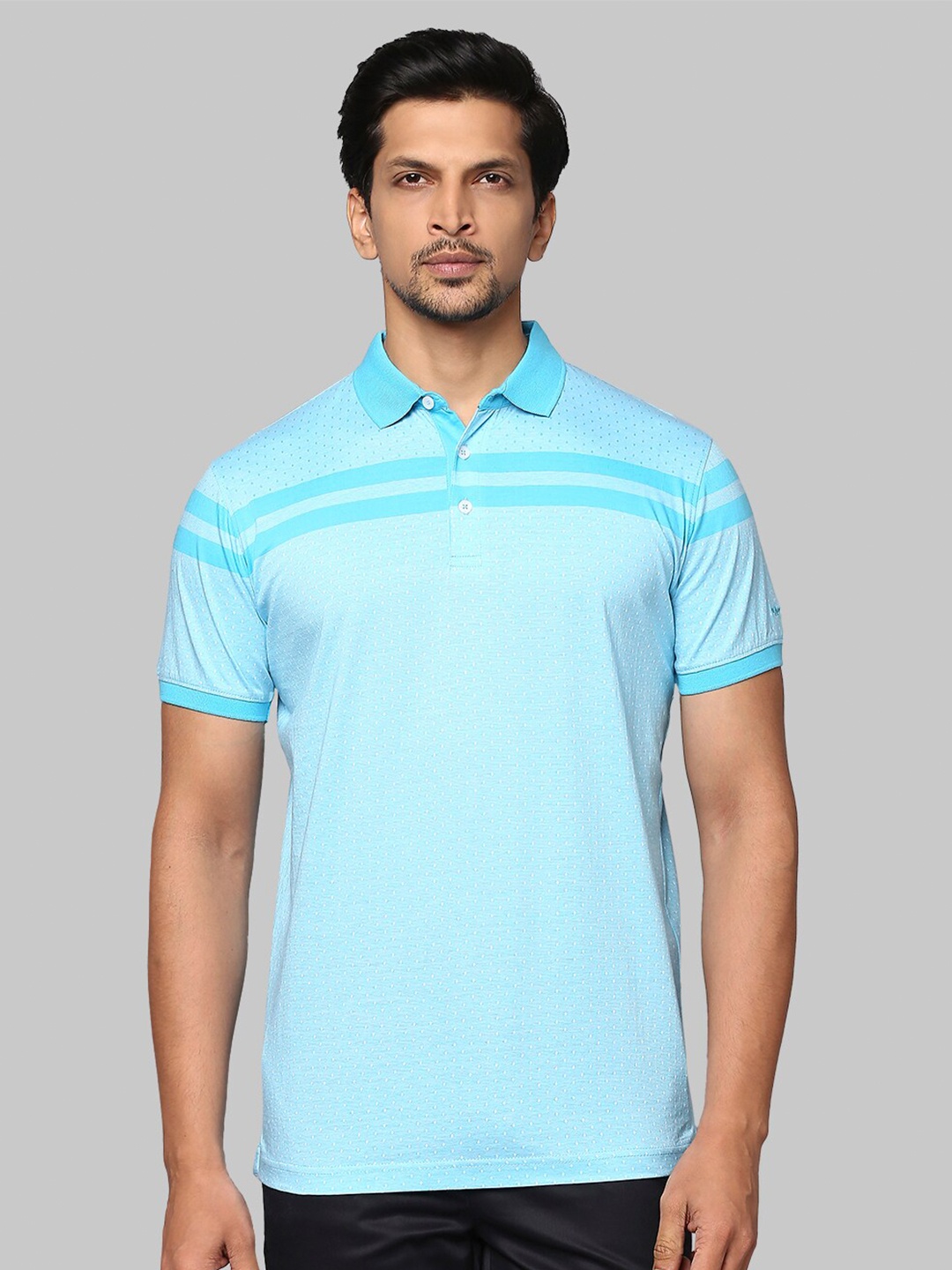 

Park Avenue Men Blue Polo Collar Slim Fit T-shirt