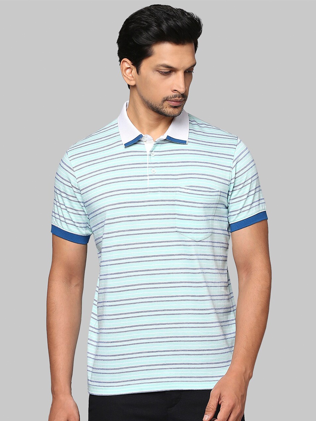 

Park Avenue Men Sea Green Striped Polo Collar Slim Fit T-shirt