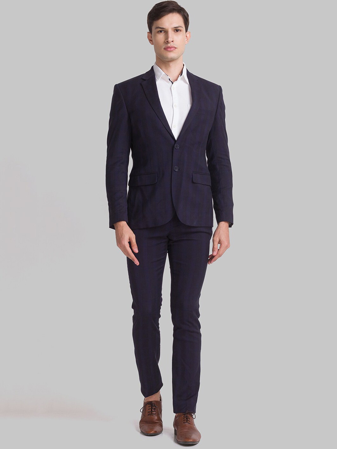 

Parx Men Blue Checked Single-Breasted Two-Piece Formal Suit