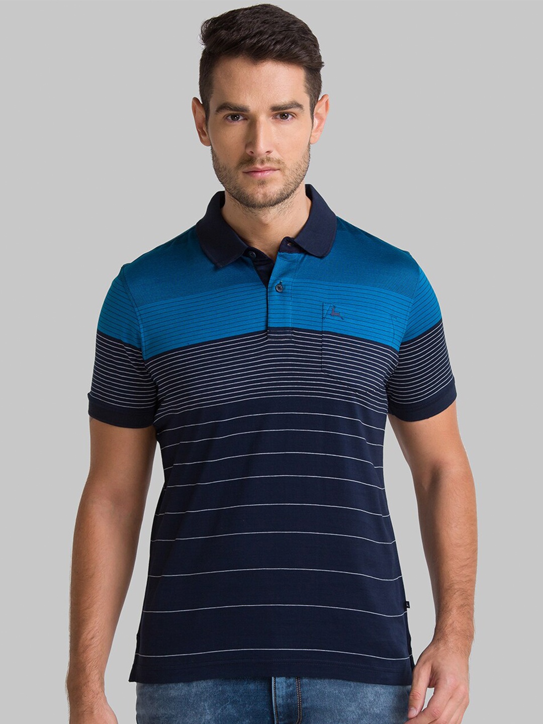 

Parx Men Blue & Grey Striped Polo Collar T-shirt