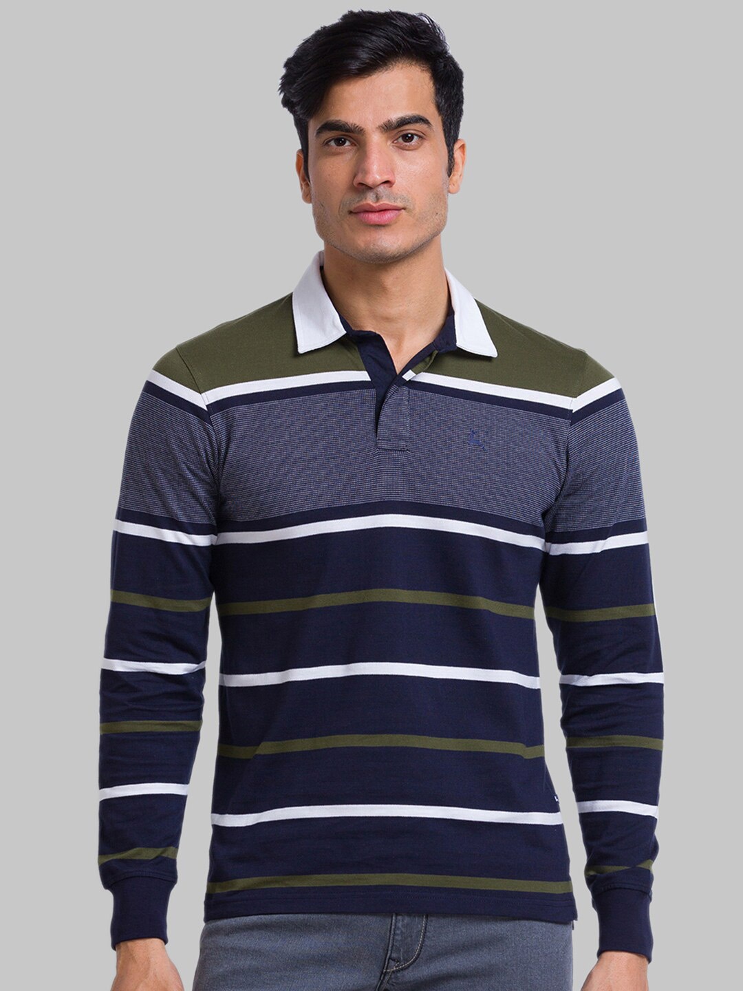 

Parx Men Green & Navy Blue Striped Cotton Polo Collar T-shirt