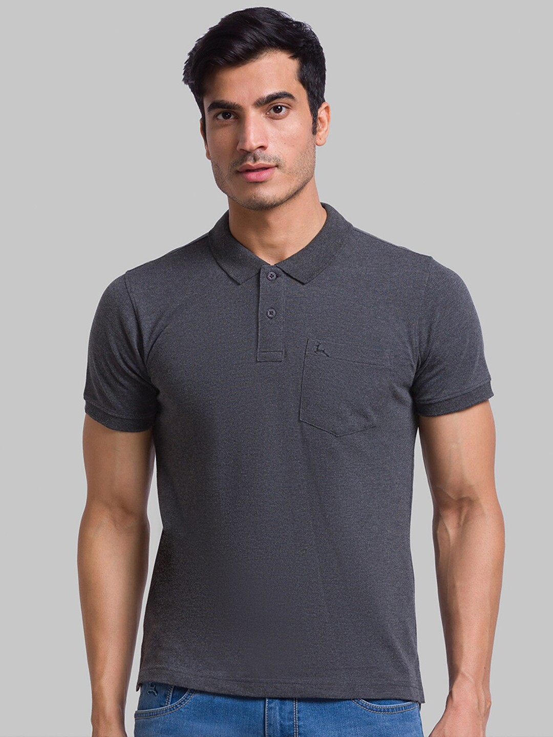 

Parx Men Grey Polo Collar T-shirt