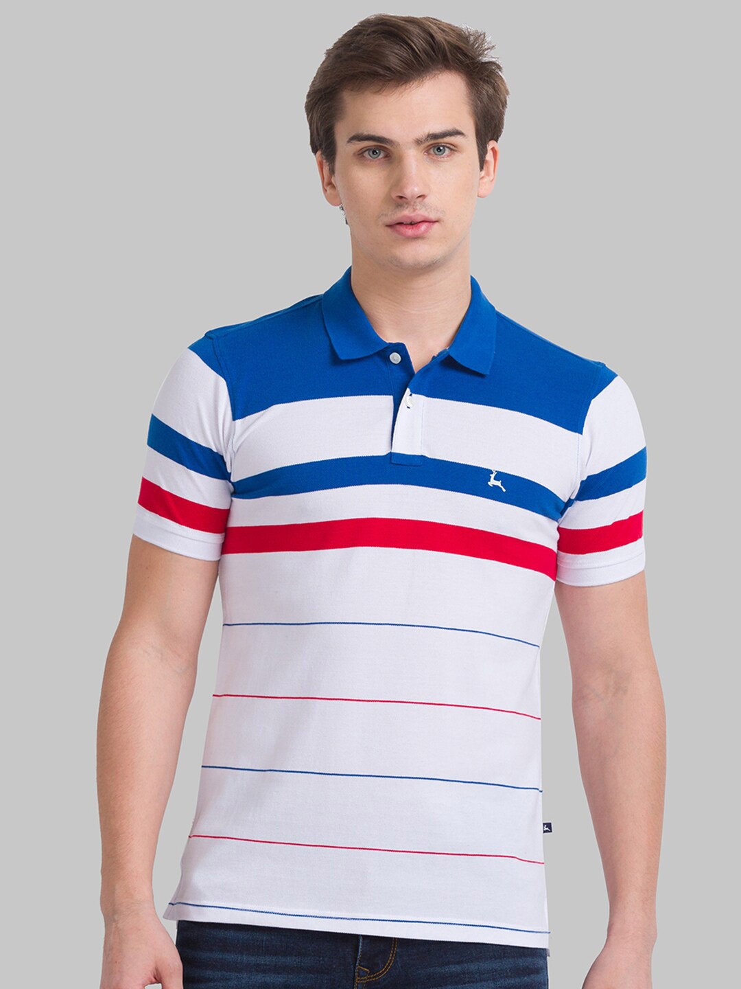 

Parx Men Blue Striped Polo Collar Cotton T-shirt