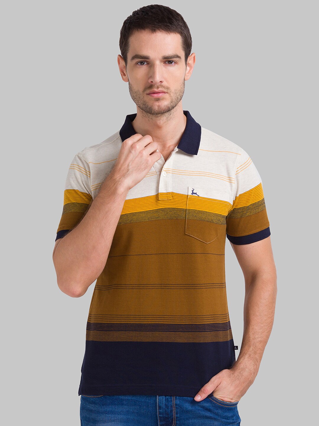 

Parx Men Brown Striped Polo Collar T-shirt