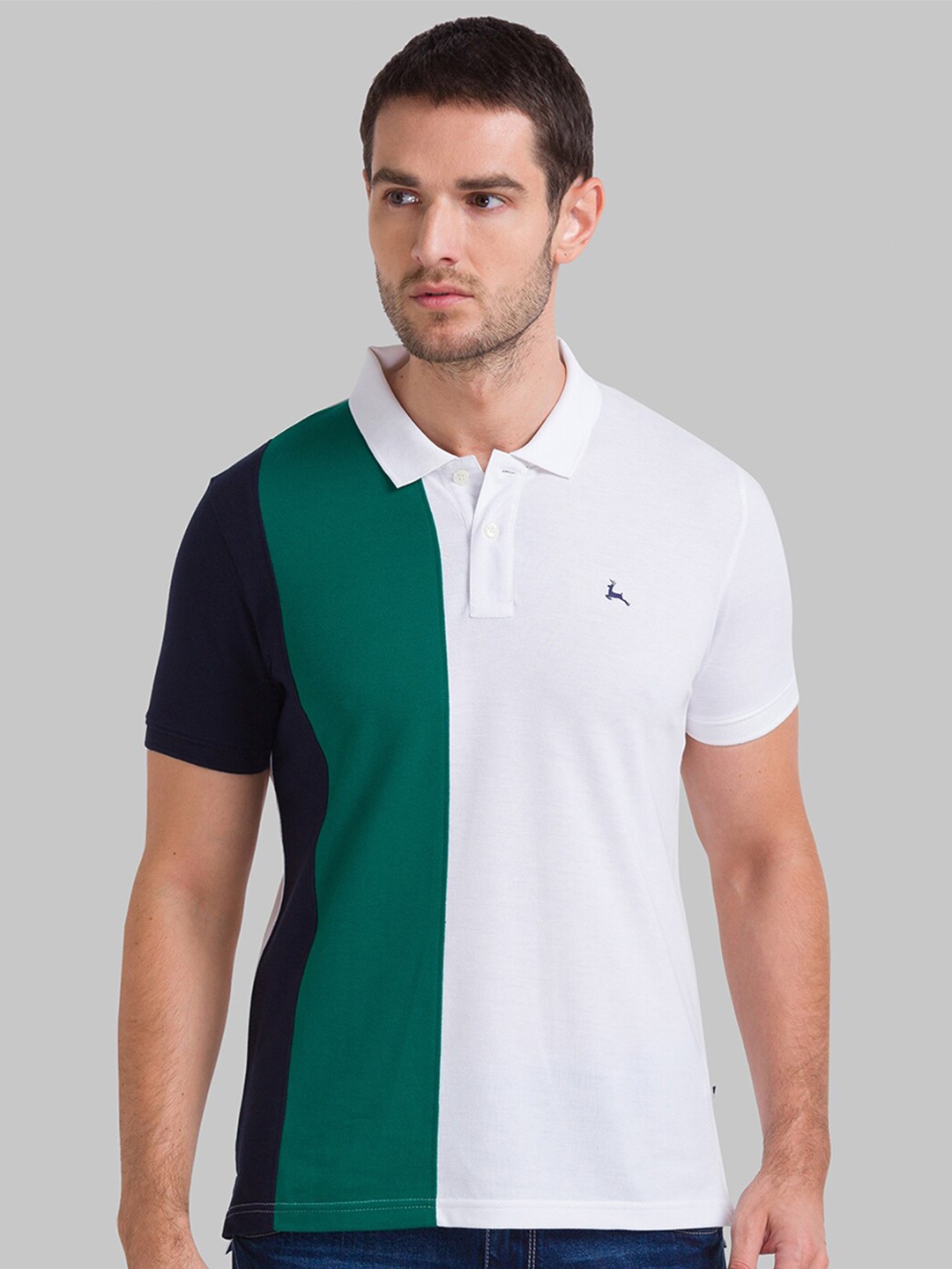 

Parx Men White & Green Colourblocked Polo Collar T-shirt