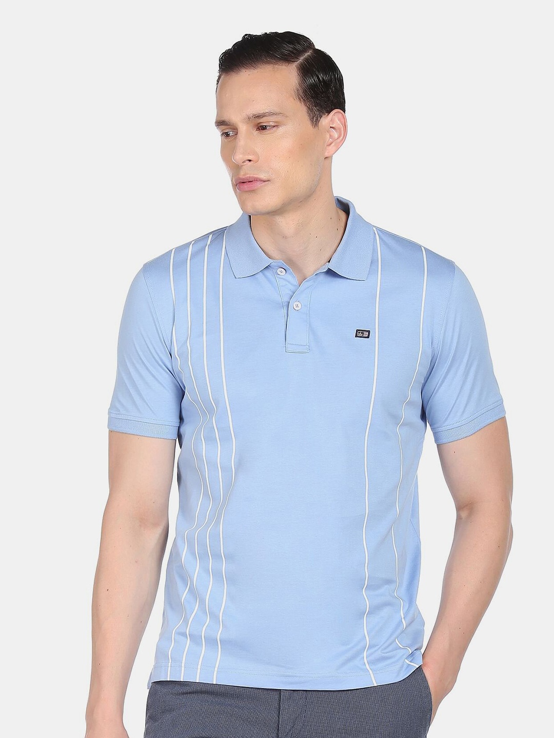 

Arrow Sport Men Blue Striped Polo Collar Cotton T-shirt