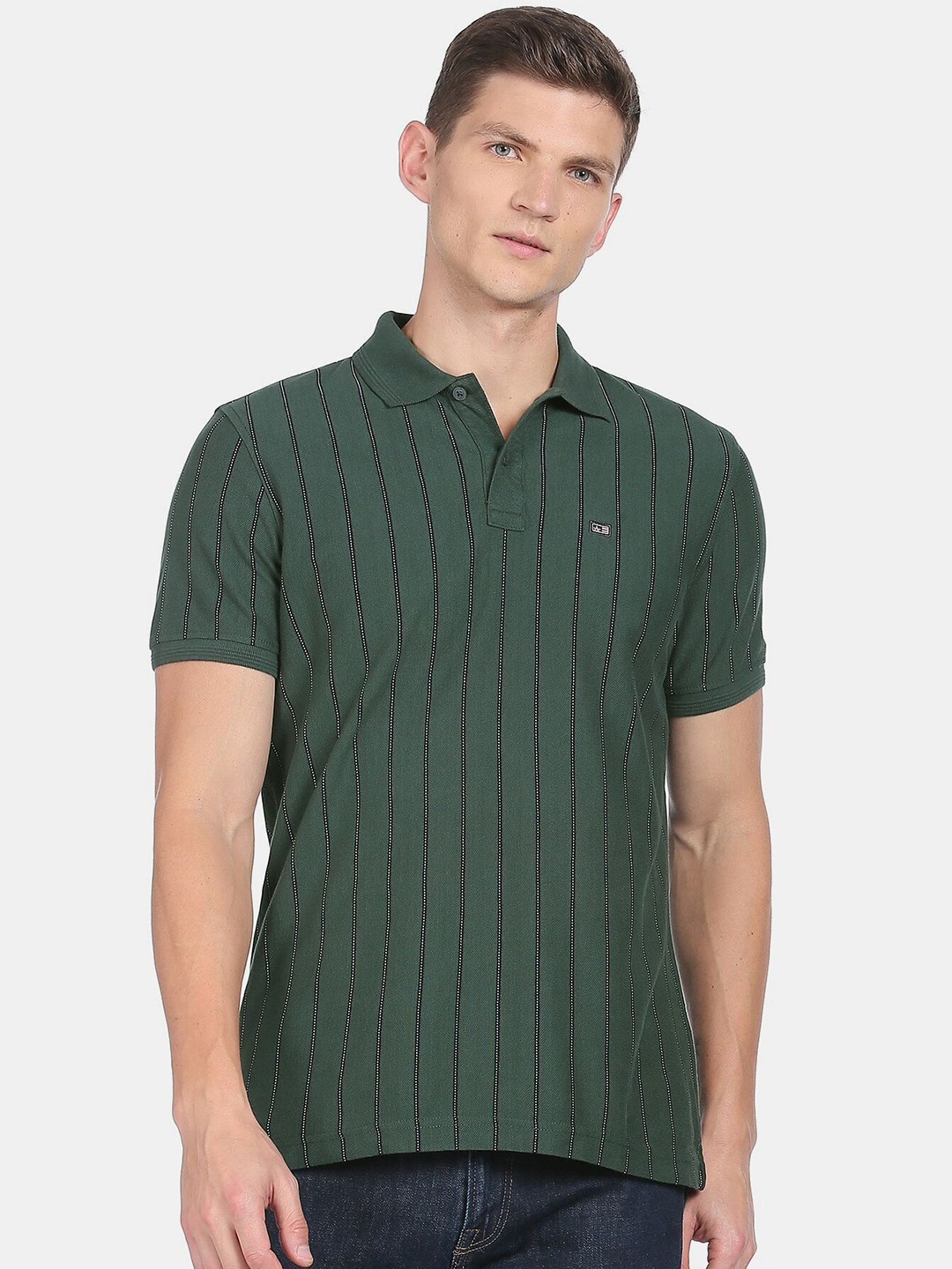 

Arrow Sport Men Green Striped Polo Collar Cotton T-shirt
