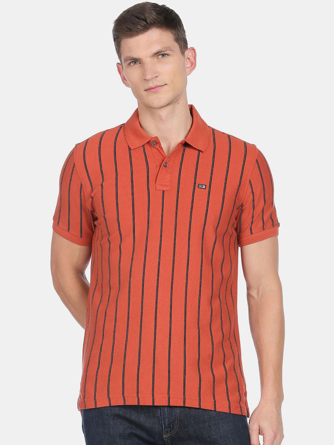 

Arrow Sport Men Rust Striped Pure Cotton Polo Collar T-shirt