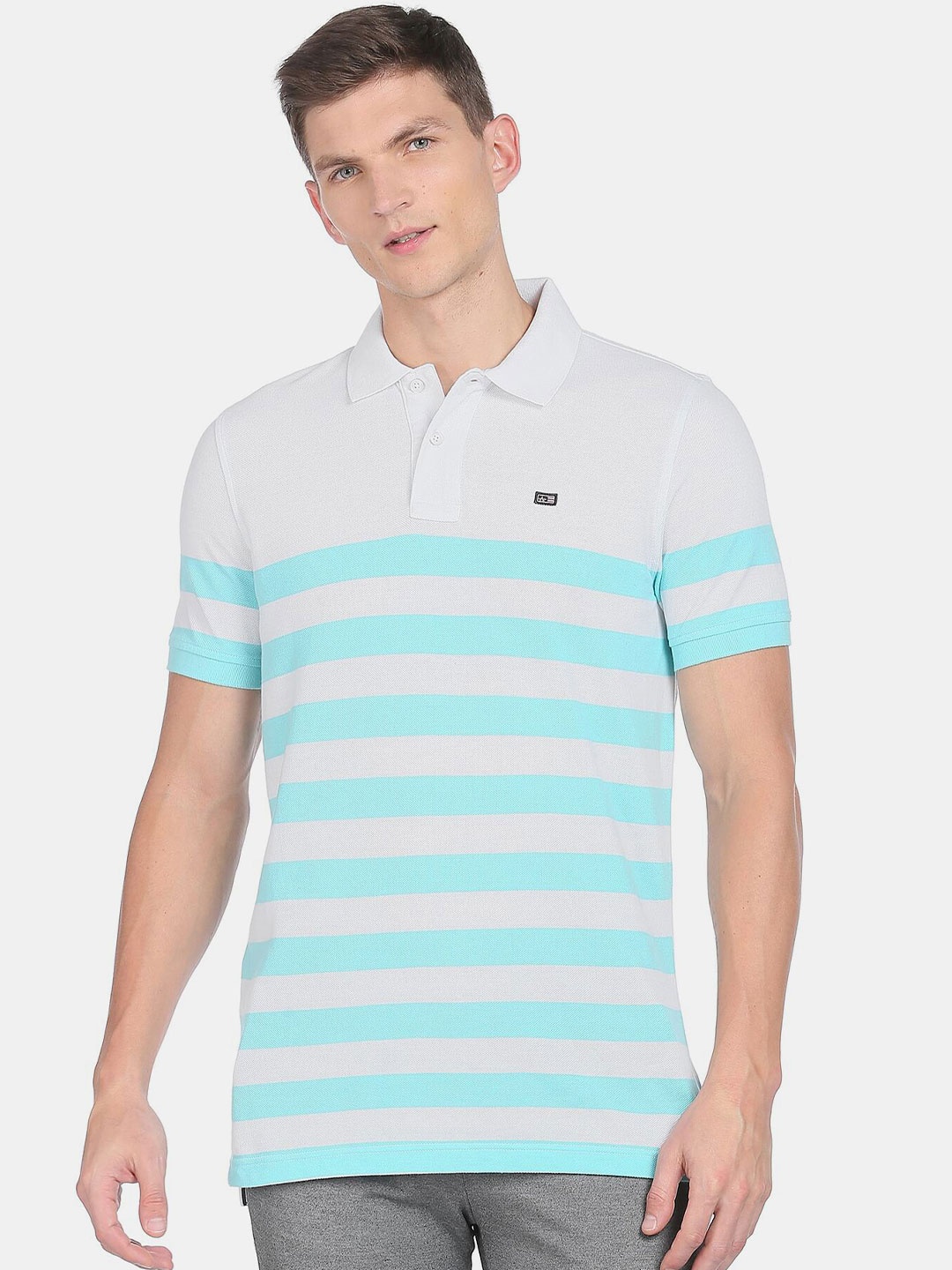 Arrow Sport Men Grey & Sea Green Striped Polo Collar T-shirt