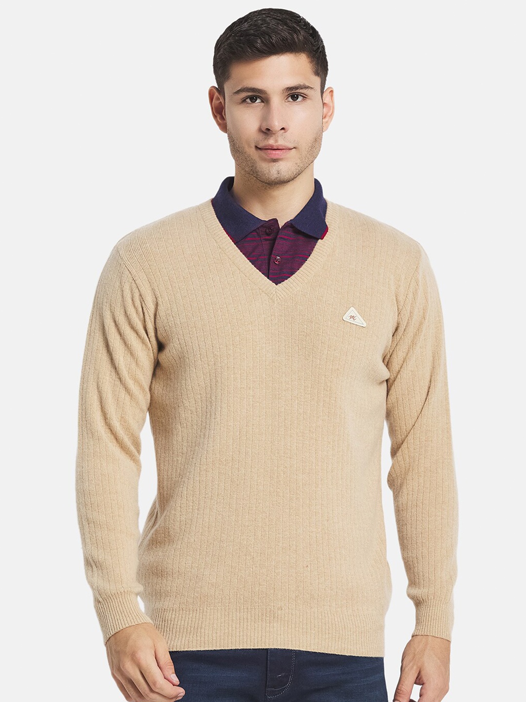 

Monte Carlo Men Beige Solid V Neck Pullover