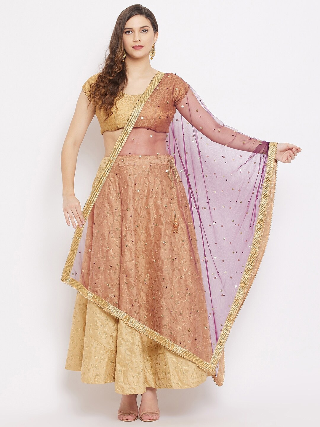 

Clora Creation Burgundy & Brown Embroidered Dupatta with Sequinned