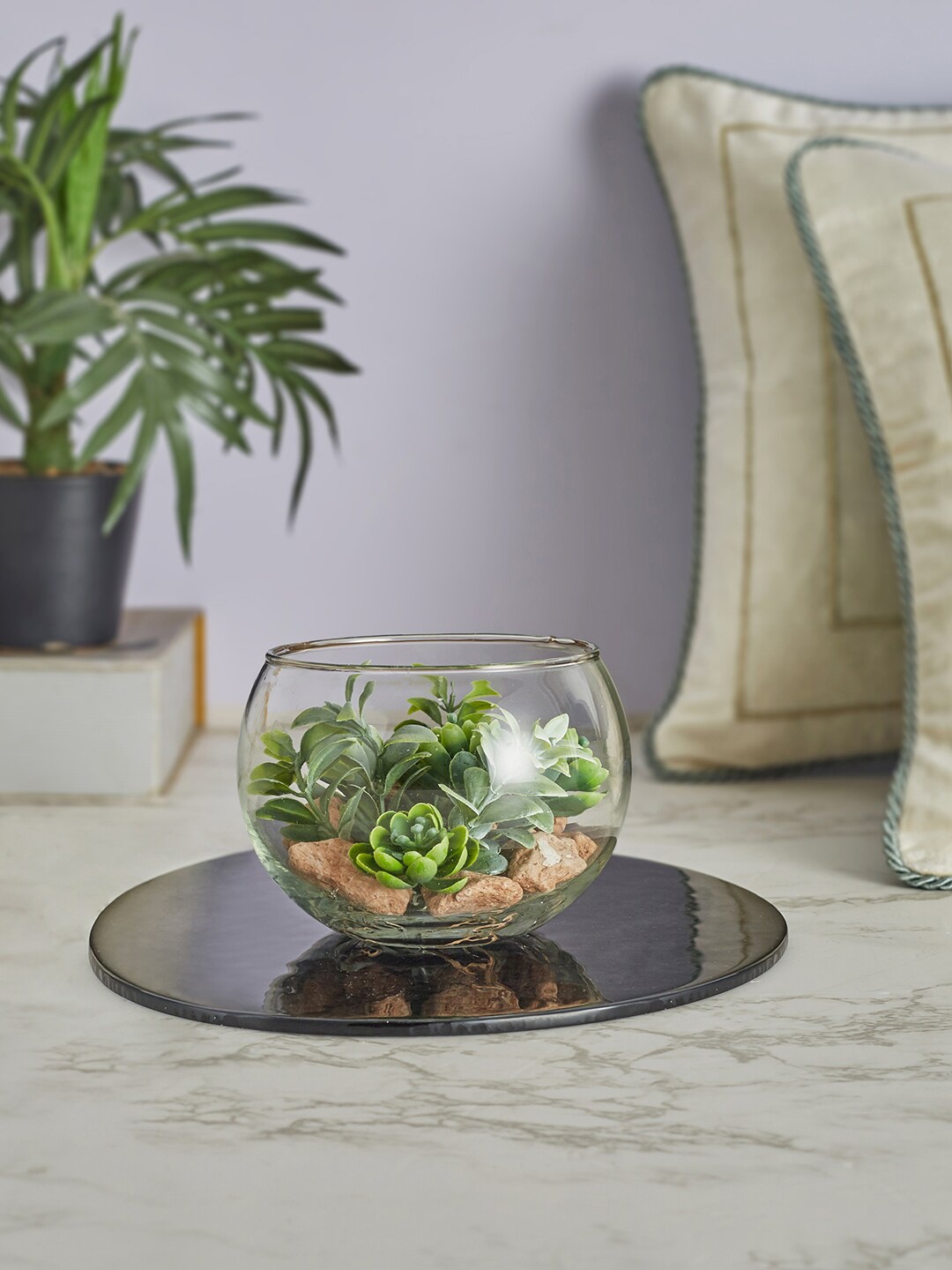 

HomeTown Green & Transparent Solid Terrarium