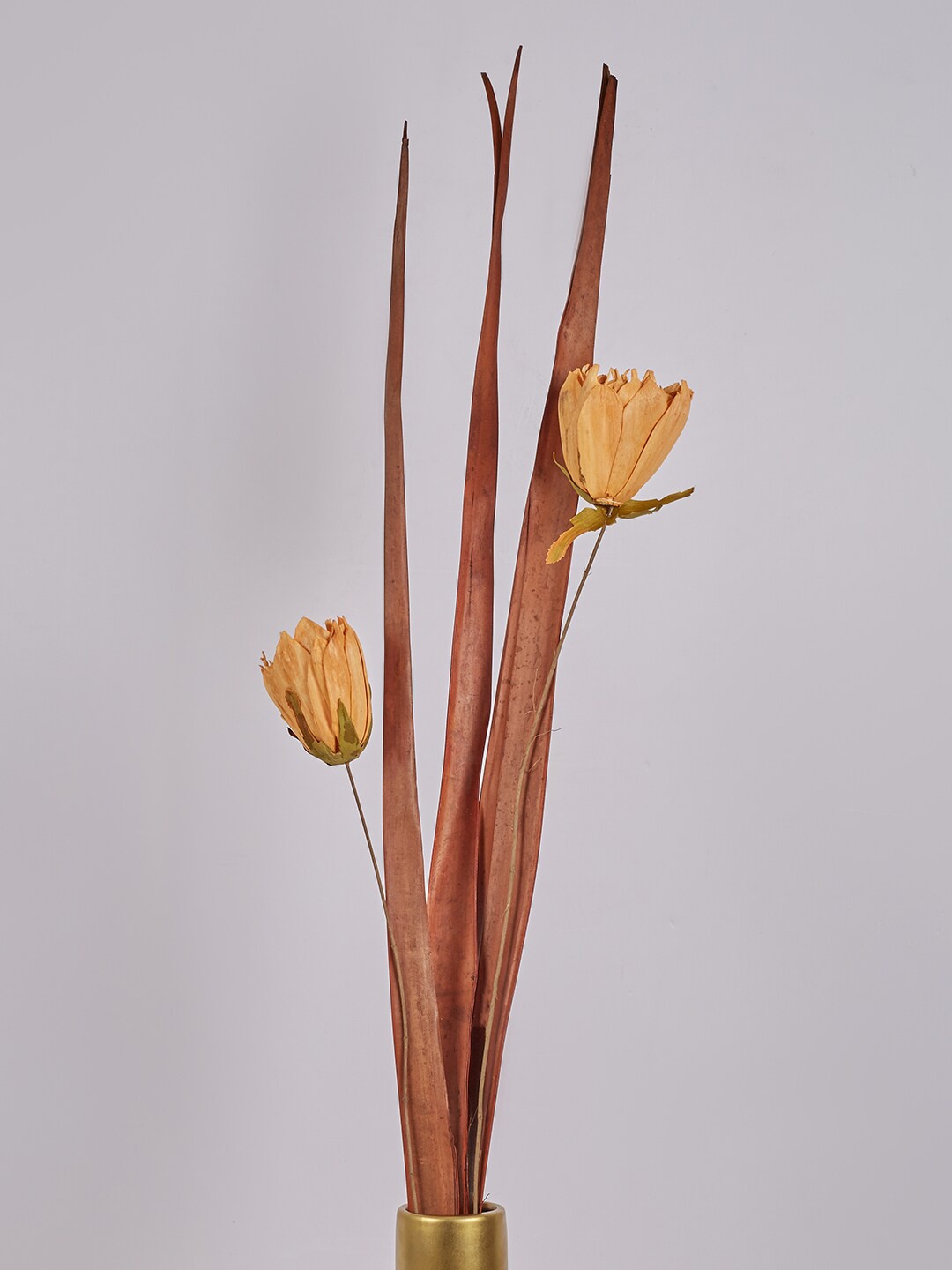 

HomeTown Peach-Coloured & Brown Dried Rose Floral Sticks