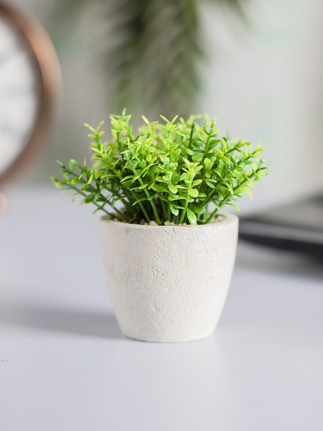 

MARKET99 White & Green Artificial Plants With Pot
