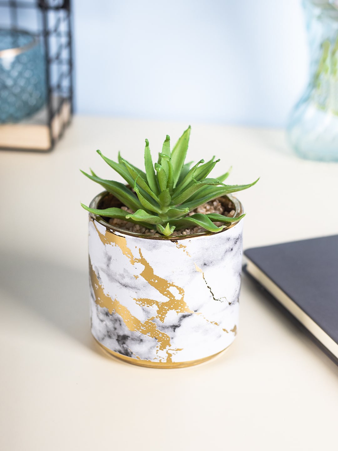 

MARKET99 Green & White Fake Aloe vera Desktop Planter, Multi