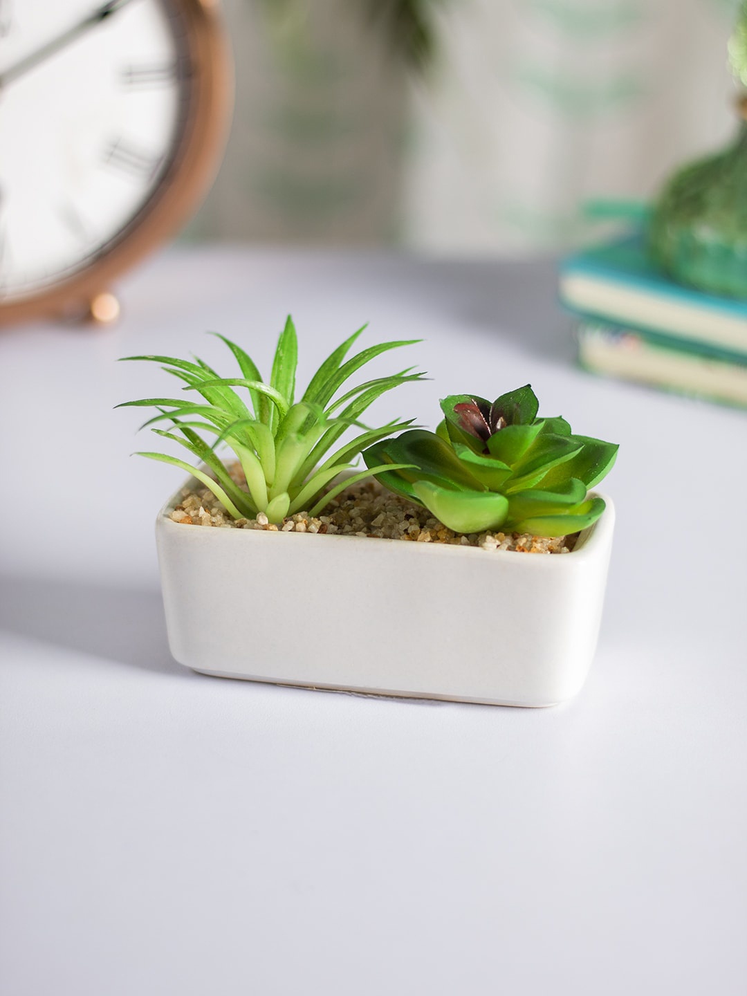 MARKET99 White & Green Succulent Planters With Rectangular Flower Pot
