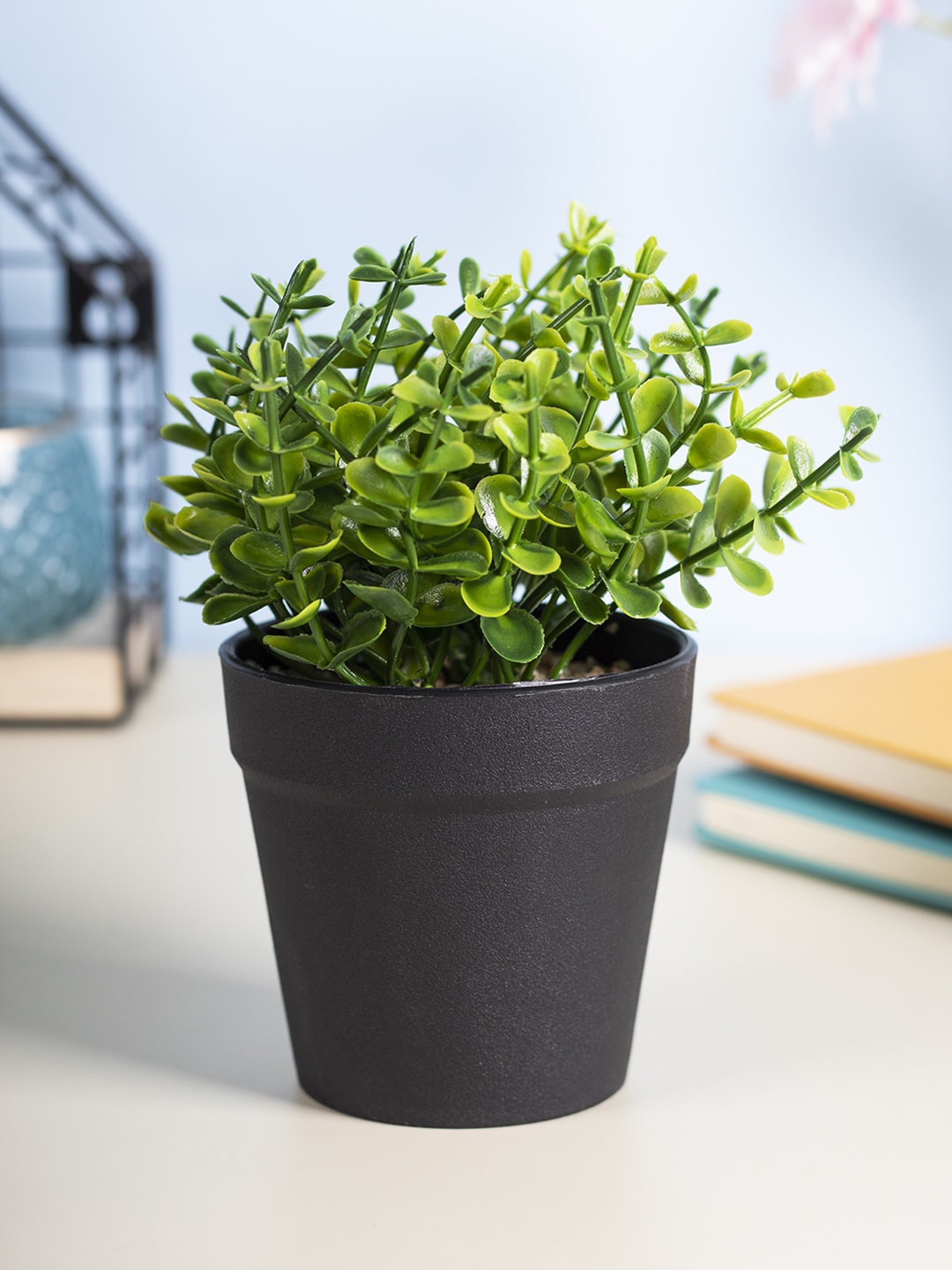 

MARKET99 Black & Green Solid Artificial Flowers and Plants