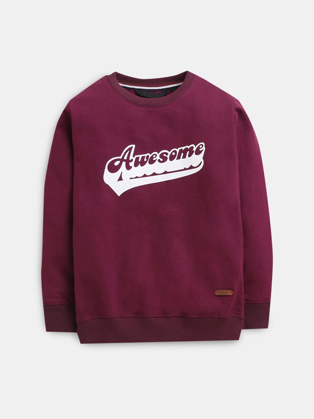 

Hopscotch Boys Purple Printed Sweatshirt
