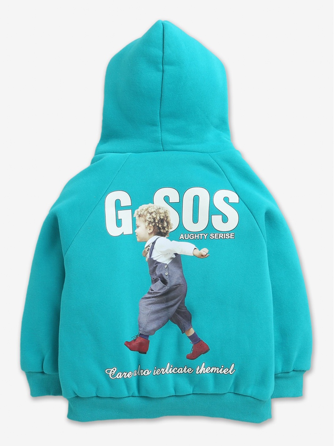 

Hopscotch Boys Blue Printed Full-Sleeve Hooded Sweatshirt