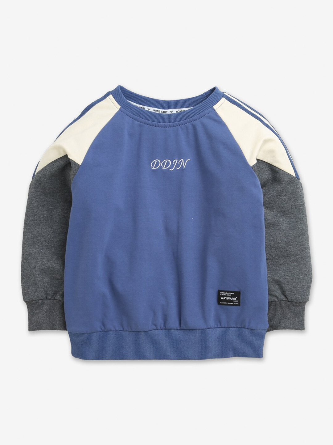 

Hopscotch Boys Blue Colourblocked Sweatshirt