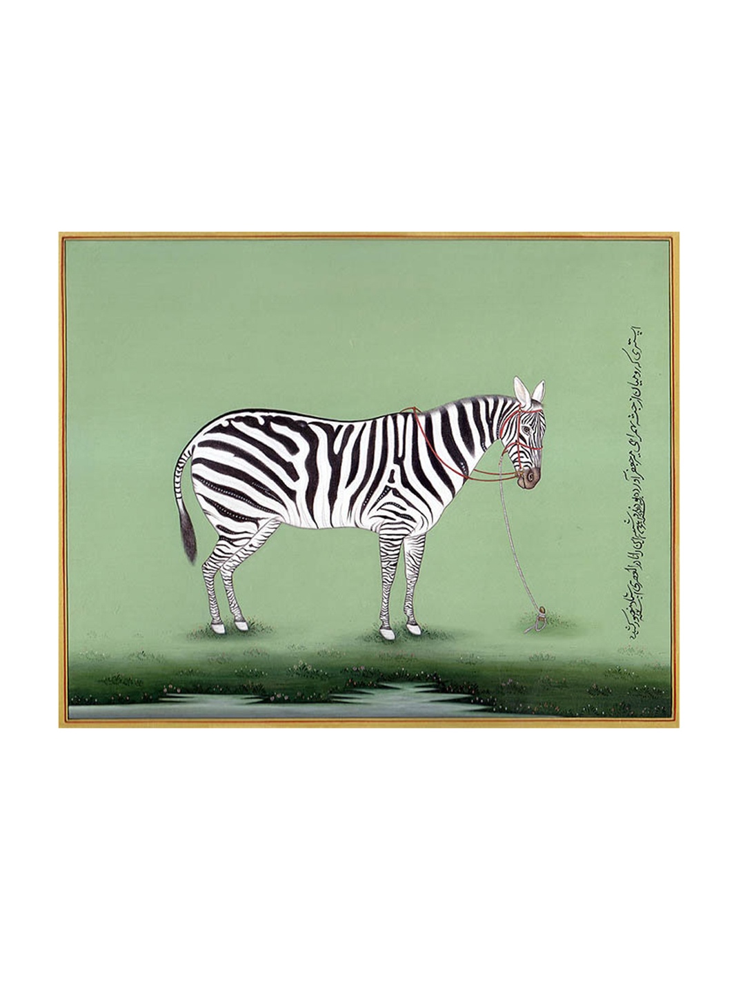 

Exotic India The Likeness of a Zebra (Water Color Painting On Paper), Multi