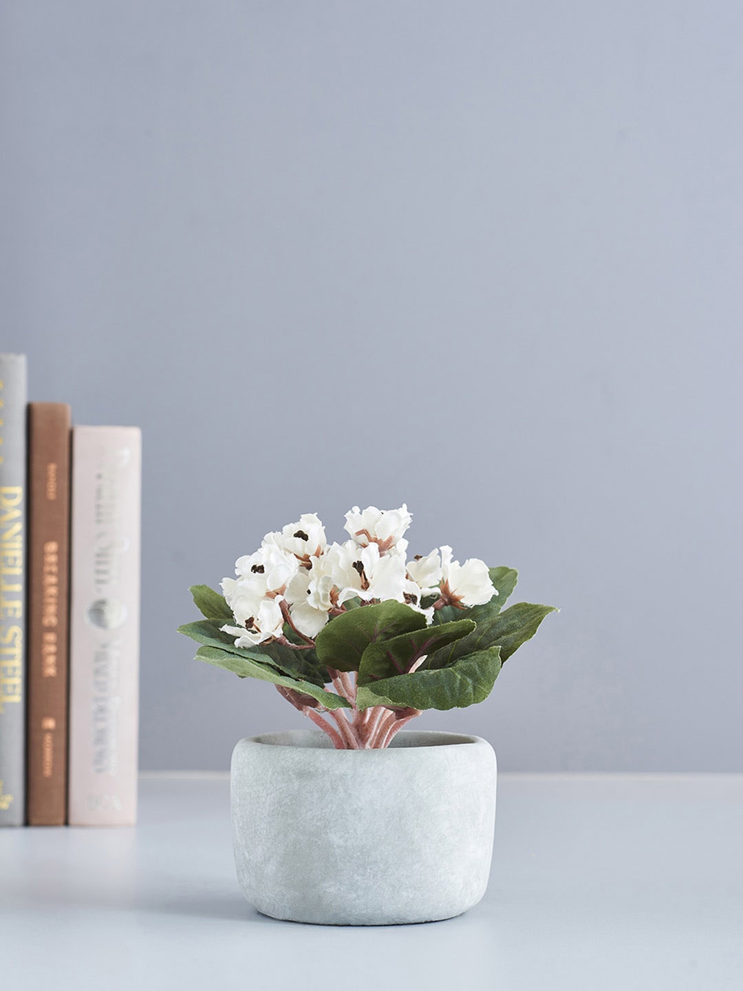 

Pure Home and Living Set of 2 Cream Violet in Cement Pot