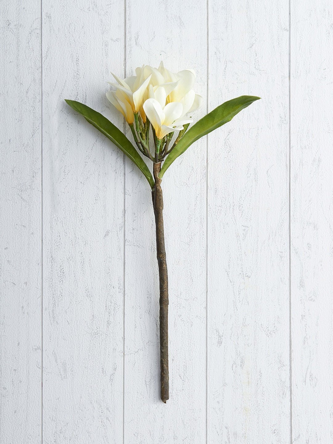 

Pure Home and Living White Frangipani Artificial Plants