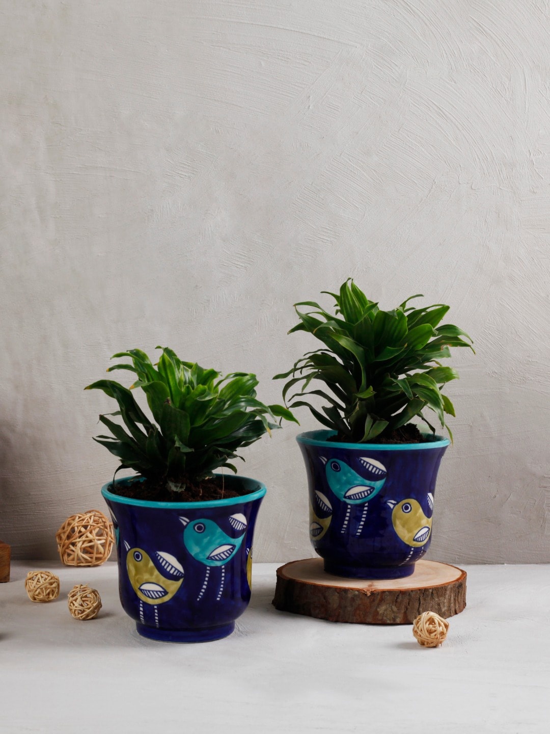 

The 7 DeKor Blue Printed Ceramic Planters