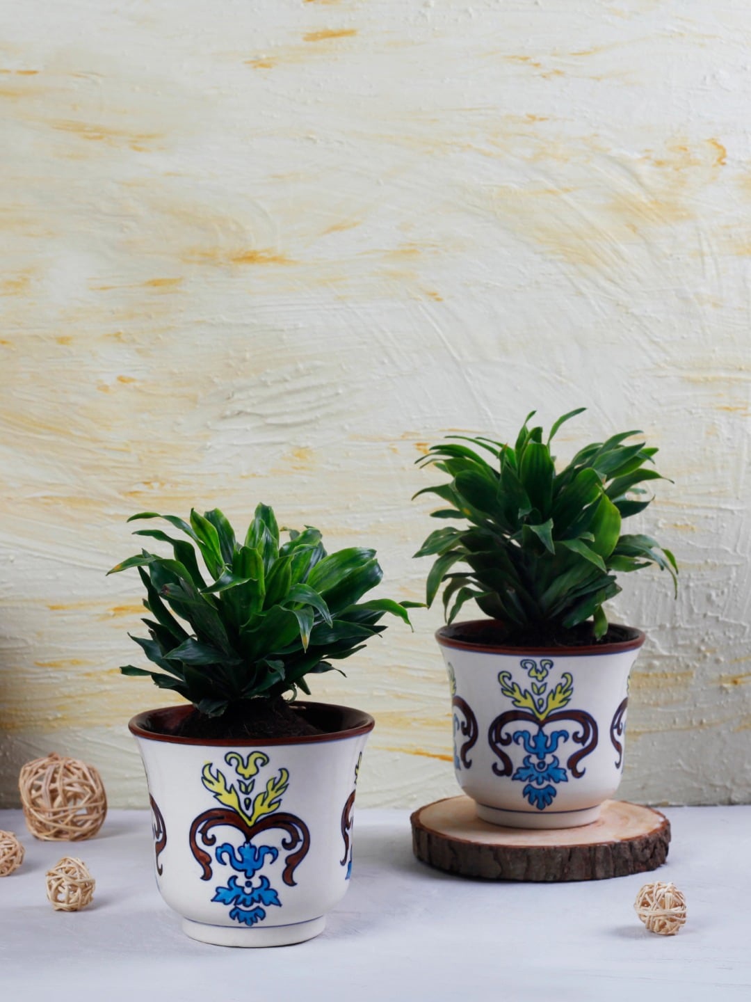 

The 7 DeKor White & Blue Printed Ceramic Planters