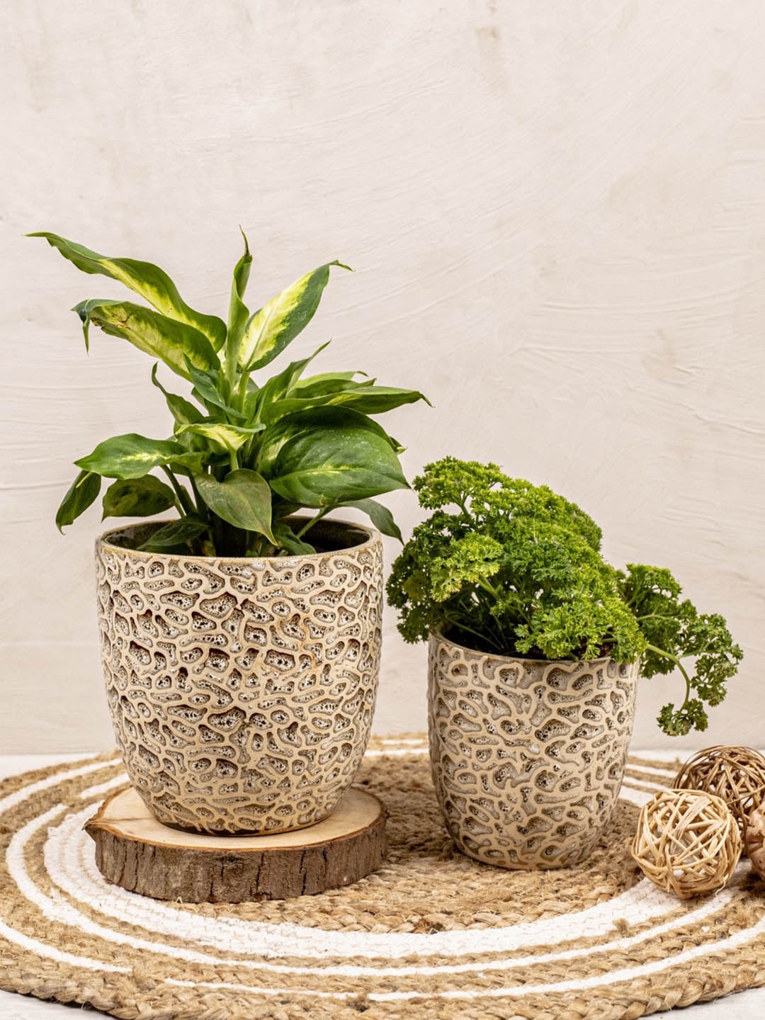 

The 7 DeKor Brown Textured Ceramic Planter