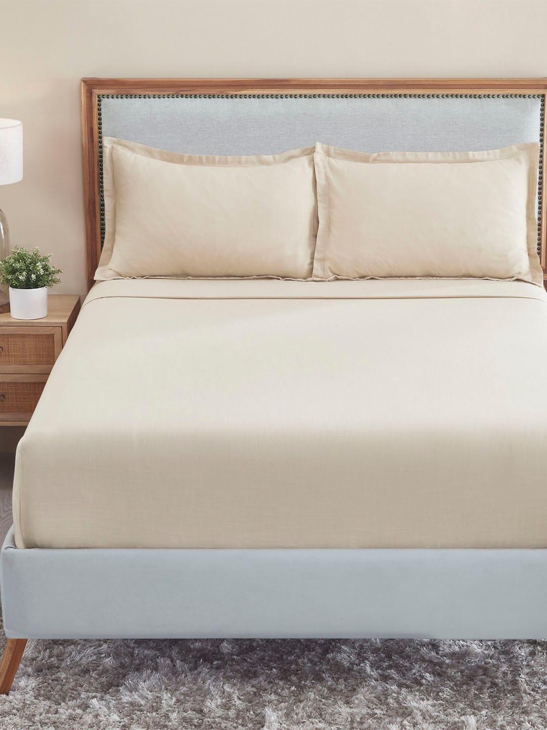 

MYTRIDENT Beige 150 TC King Bedsheet with 2 Pillow Covers