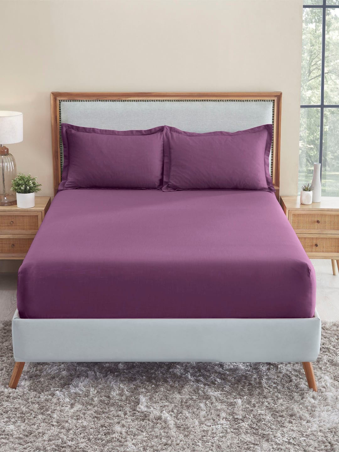 

MYTRIDENT Violet 150 TC King Bedsheet with 2 Pillow Covers