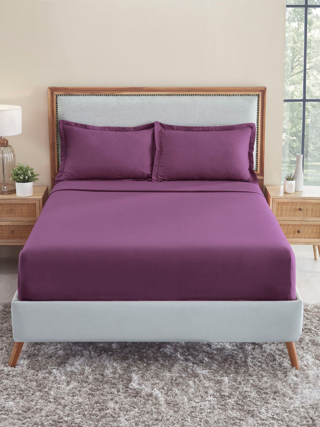 

MYTRIDENT Violet 150 TC King Bedsheet with 2 Pillow Covers