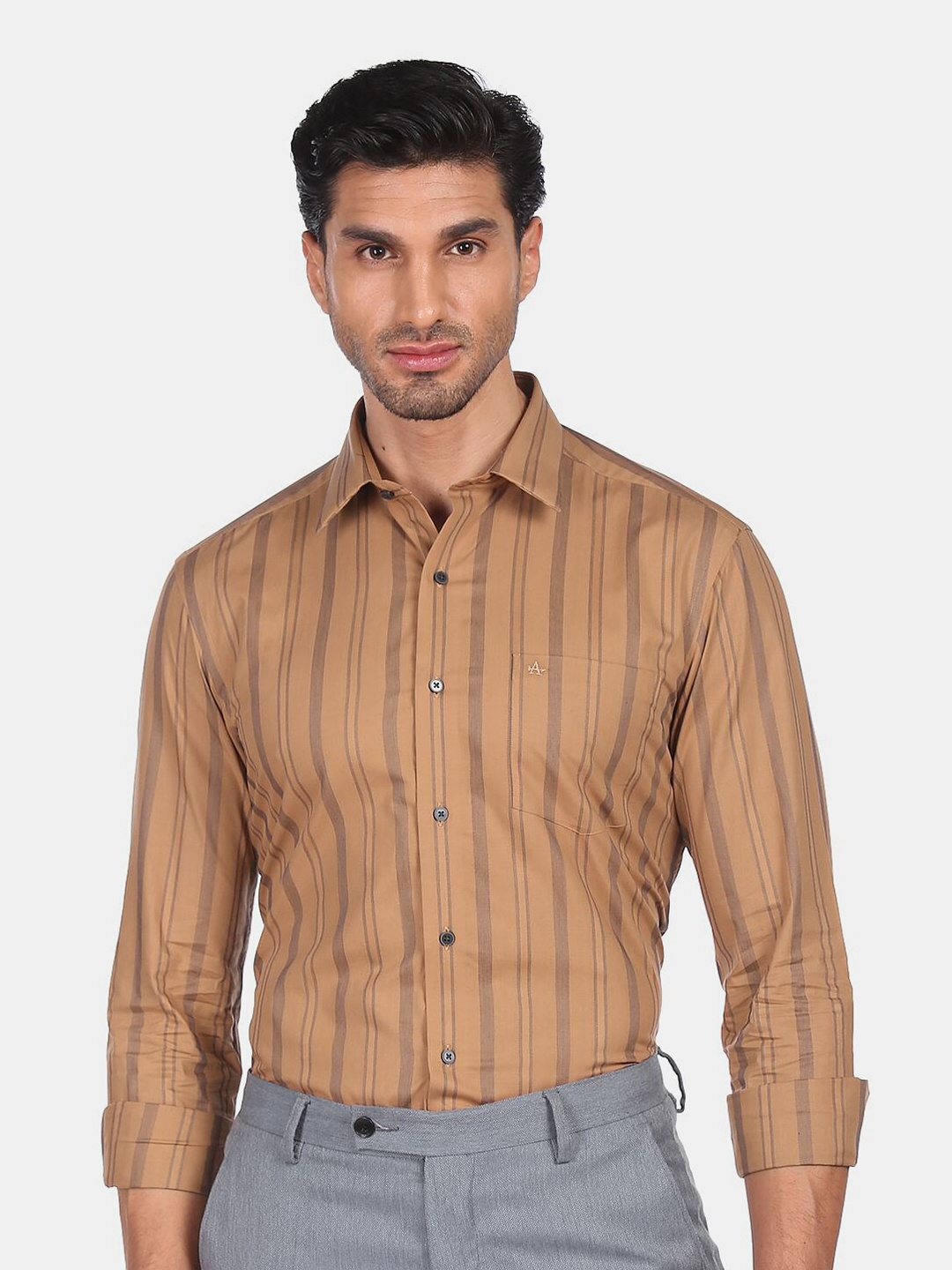 

Arrow Men Brown Striped Cotton Slim Fit Formal Shirt