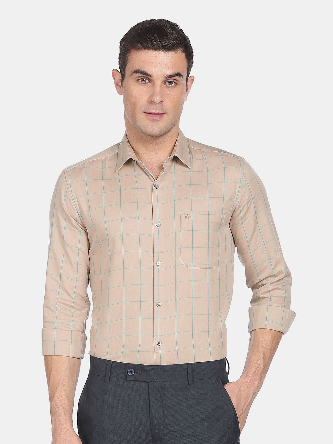 

Arrow Men Beige Checked Slim Fit Cotton Formal Shirt