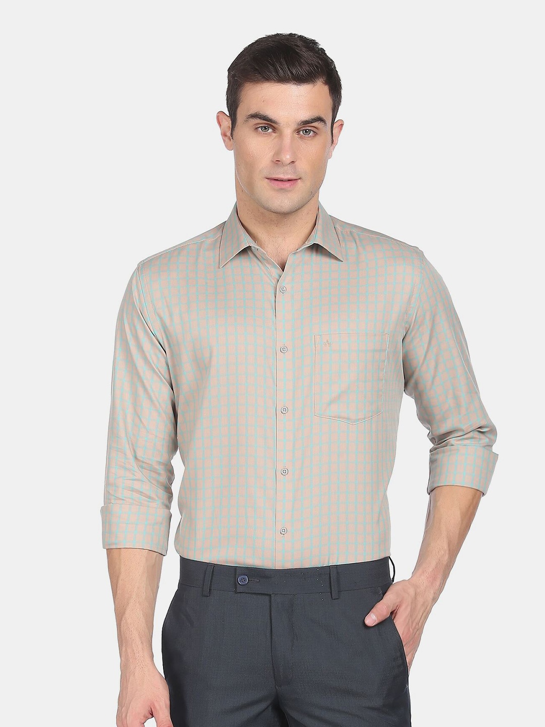 

Arrow Men Beige Checked Slim Fit Cotton Formal Shirt