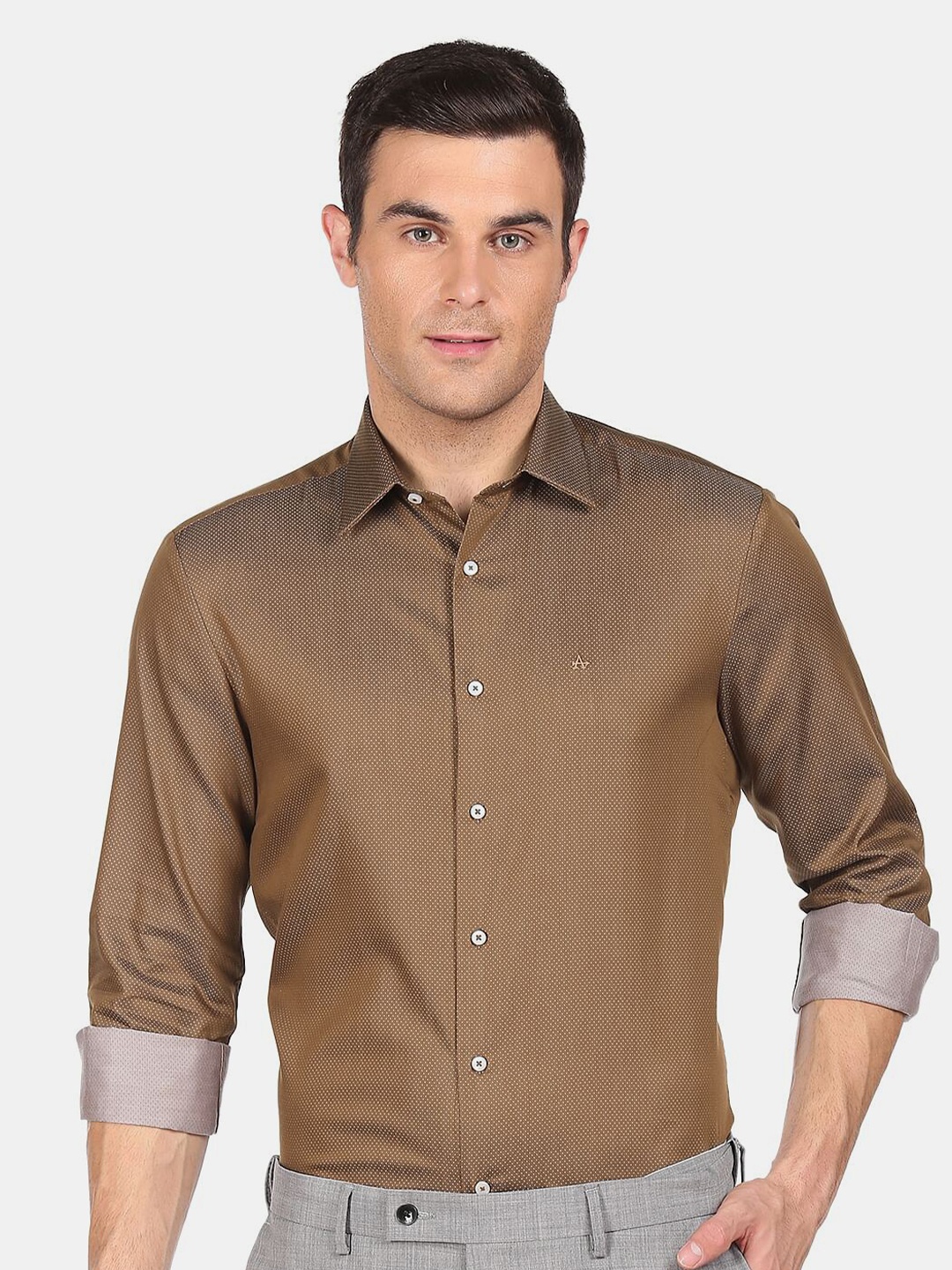 

Arrow Men Brown Textured Cotton Formal Shirt
