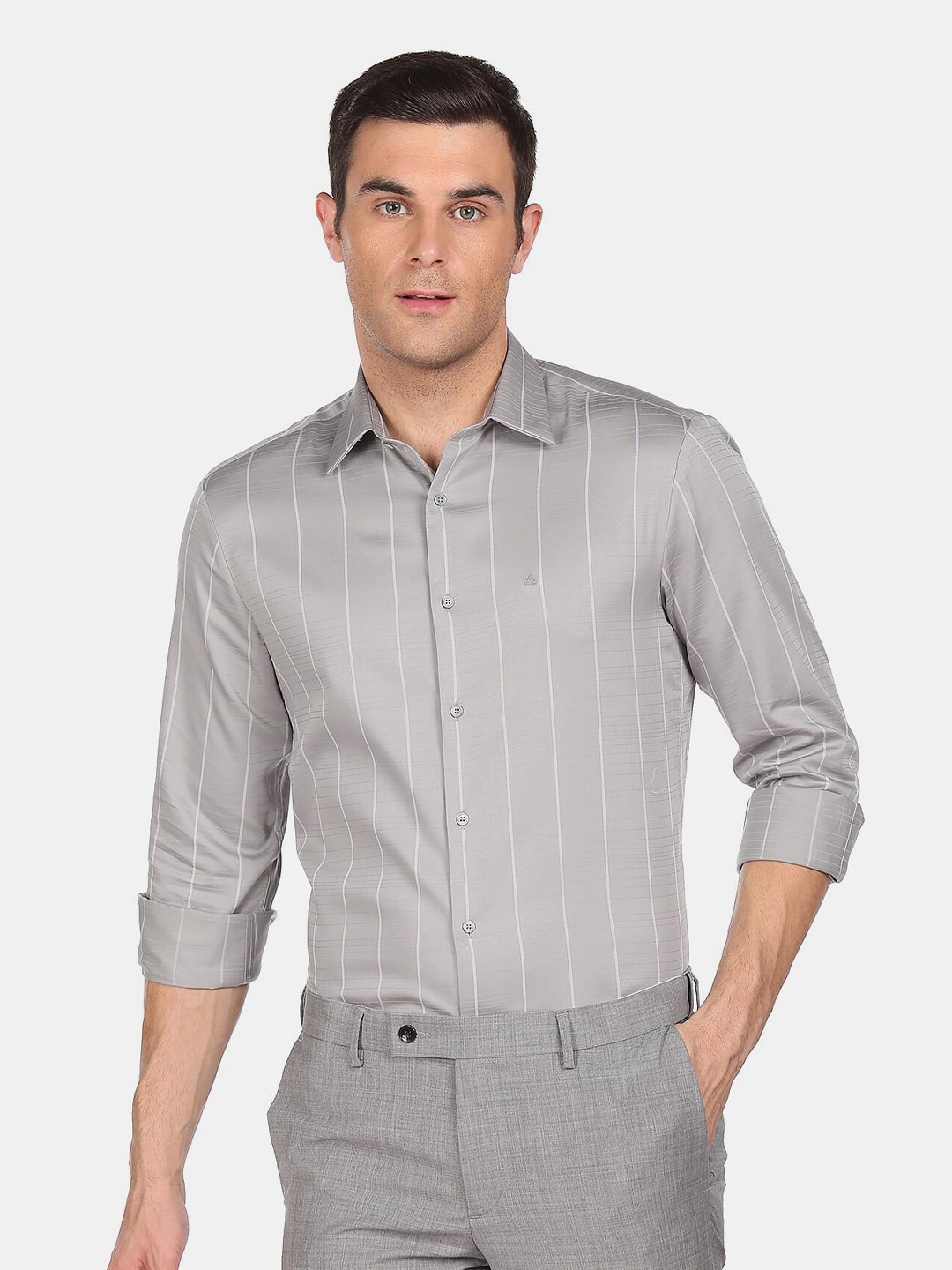 

Arrow Men Grey Striped Cotton Formal Shirt