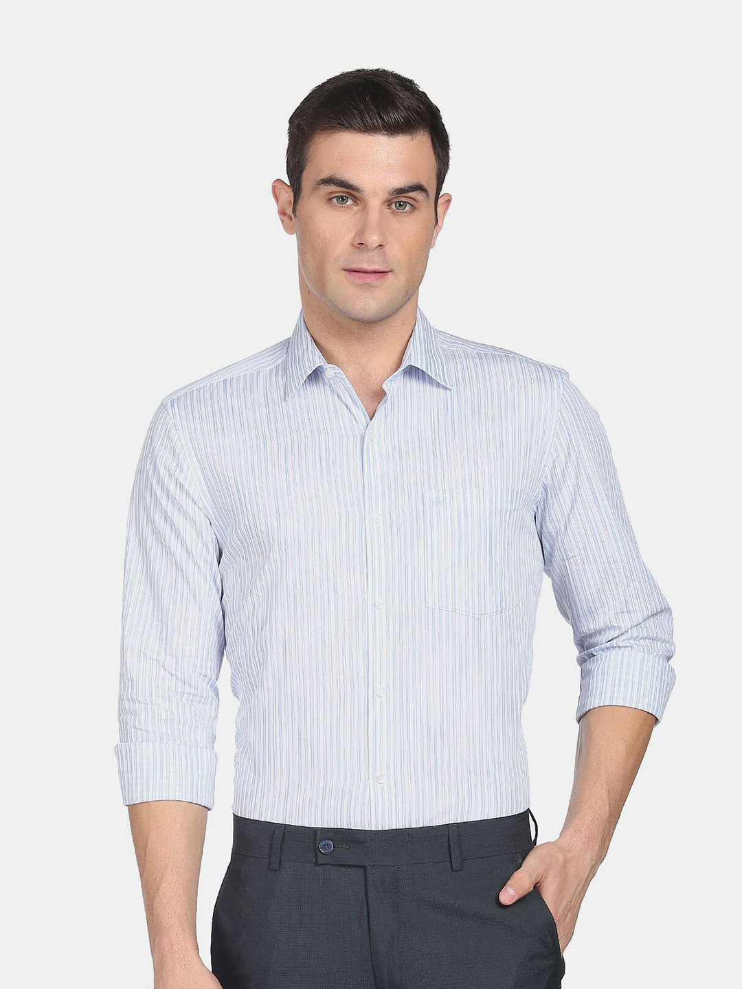 

Arrow Men Blue Striped Pure Cotton Formal Shirt