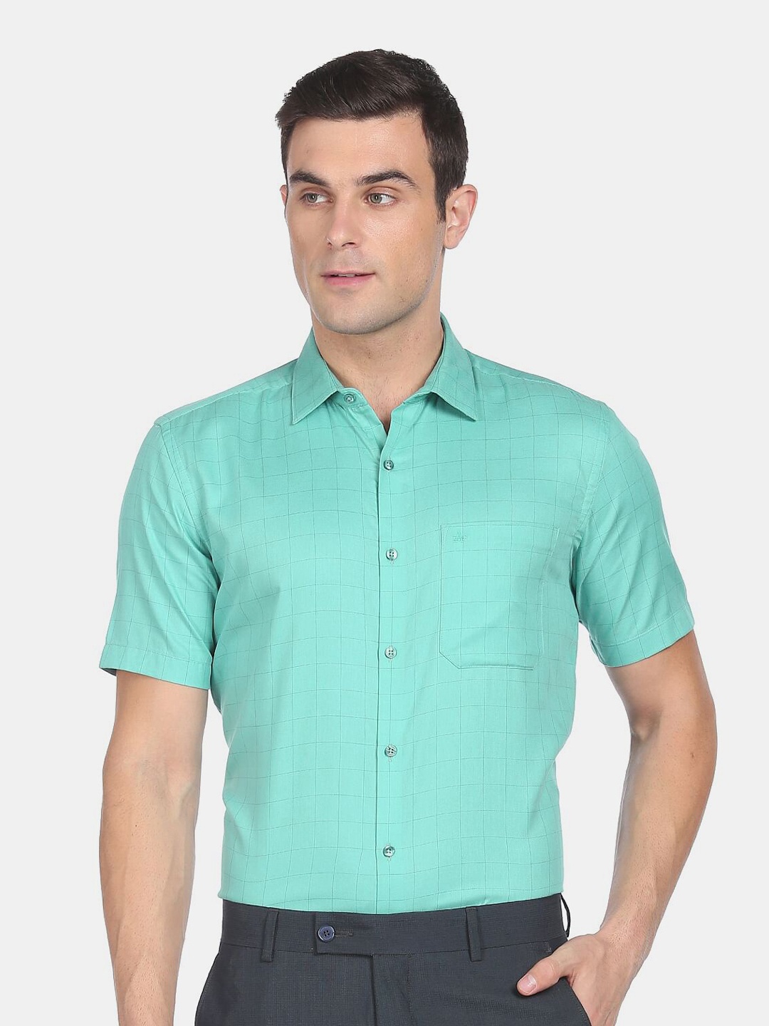 

Arrow Men Green Checked Pure Cotton Formal Shirt